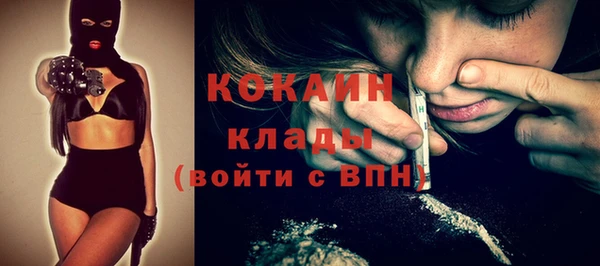мяу мяу мука Инсар