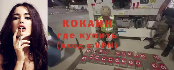 мяу мяу мука Инсар