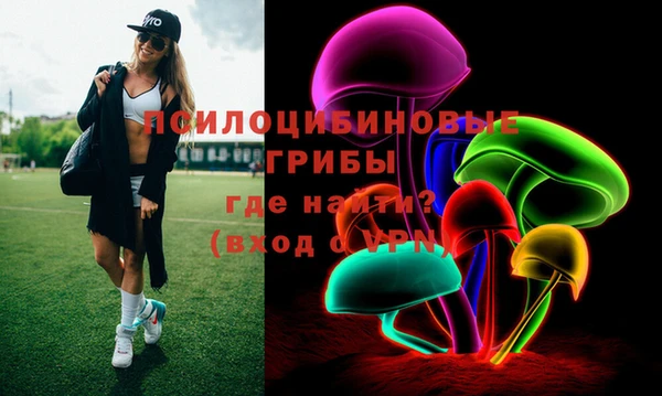 мяу мяу мука Инсар