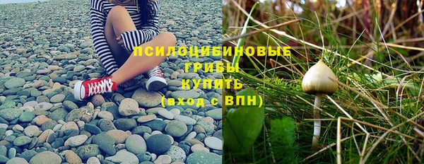 ПСИЛОЦИБИНОВЫЕ ГРИБЫ Великий Новгород